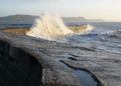 Surf's Up - photographer Lois Wakeman