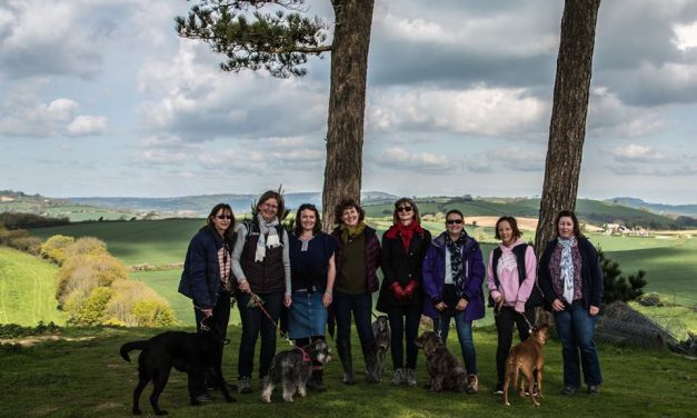 LBL Walk – Colmers Hill