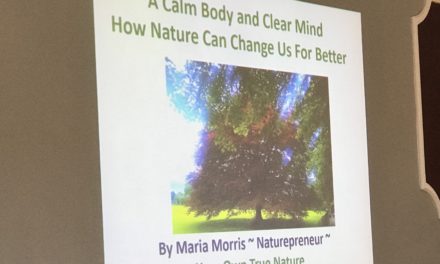 Bridport Networking – Calm Body & Clear Mind