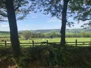 Ferne Animal Sanctuary