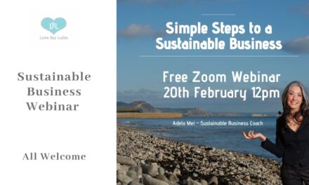 Sustainable Business Webinar